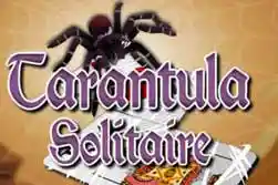 ♤️ Play Poki Spider Solitaire